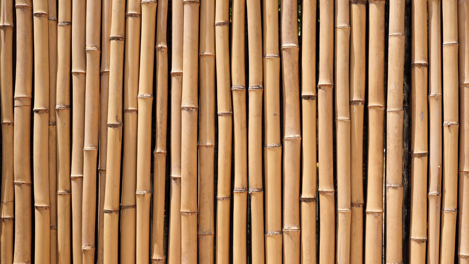 DIY Projects Bamboo